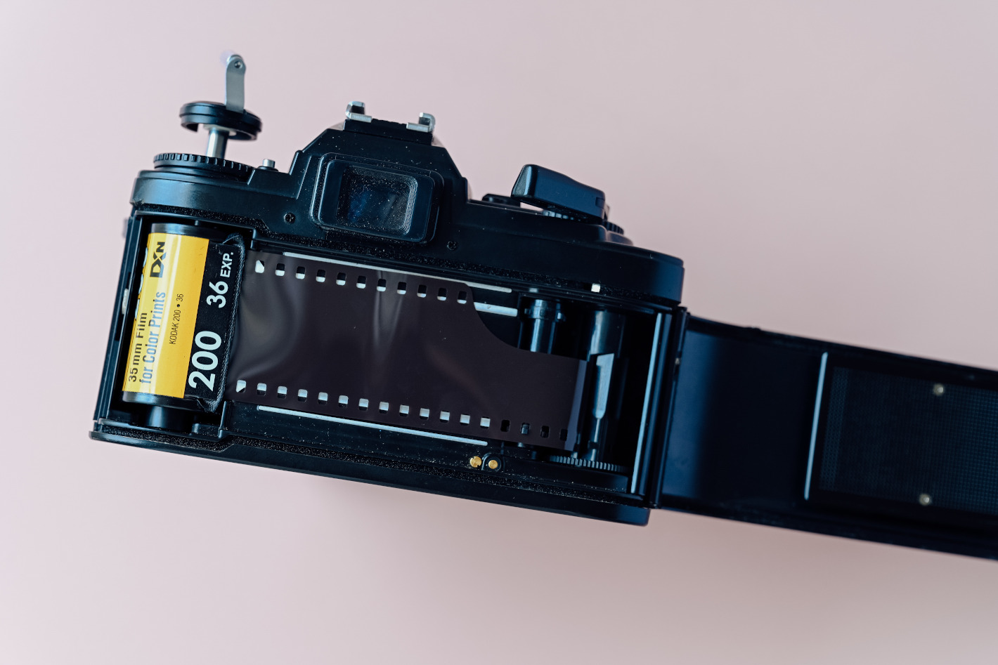 Nikonのフィルムカメラ9種撮り比べ – フォトグラファーが撮影して感じ