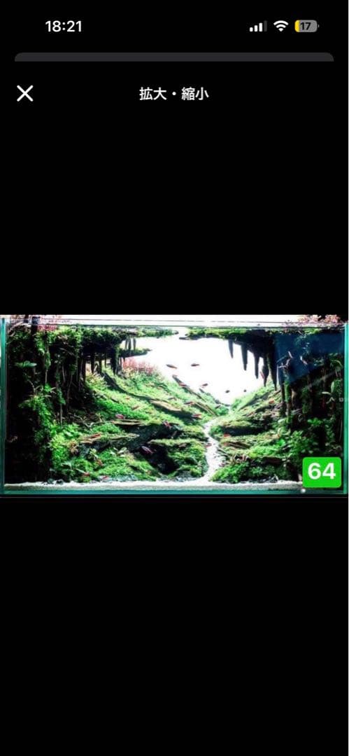 水槽用流木レイアウト 60センチ水槽用 風の流れを再現】流木とキューバパールで60cm水槽を水草レイアウト立ち