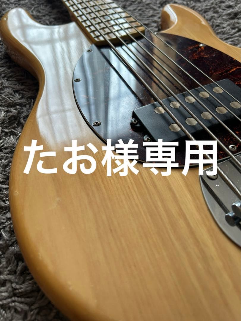 sx スティングレイ　stingray ベース　bass sx スティングレイ stingray ベース bass - メルカリ