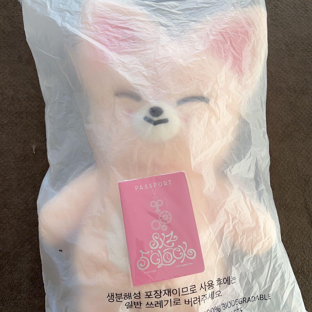 StrayKids スキズ SKZOO テディベア フォクシニー アイエン - メルカリ